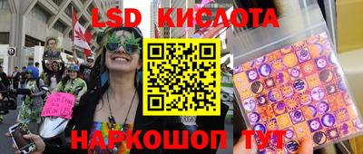 амф Донской