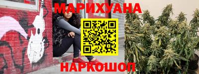 амф Донской